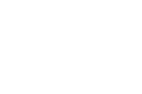 Business Management