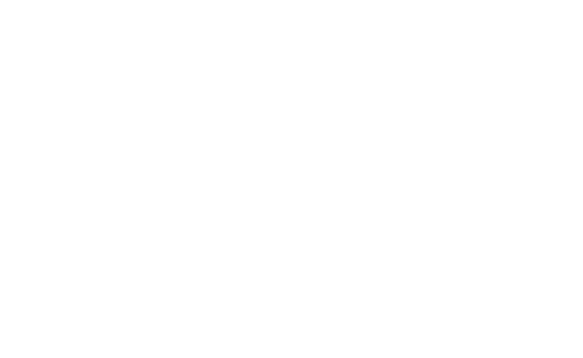 Data and Scale